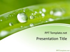 0007-nature-ppt-template-0001-1