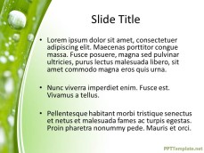 0007-nature-ppt-template-0001-2