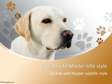 0020-dogs-ppt-template-0001-1