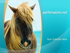 0027-horses-ppt-template-0001-1