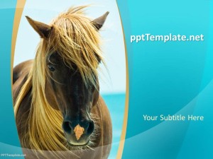 Free Horse PPT Template