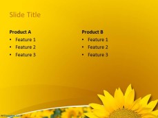 0029-sunflower-ppt-template-4