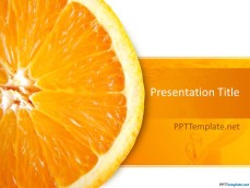 10043-orange-ppt-template-0001-1