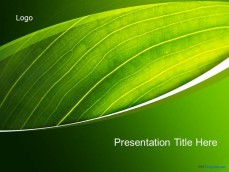 10029-02-green-nature-ppt-template-1