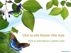 10029-04-nature-leaves-ppt-template-1