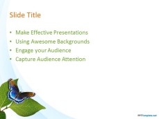 10029-04-nature-leaves-ppt-template-2