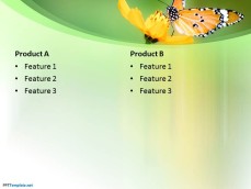 10036-01-butterfly-ppt-template-4