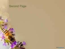 10036-02-bee-ppt-template-2