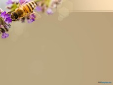 10036-02-bee-ppt-template-3