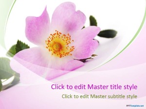 Free Beautiful Flowers PPT Template