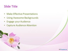 10036-03-beautiful-flowers-ppt-template-2