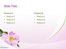10036-03-beautiful-flowers-ppt-template-4