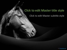 10038-02-black-horse-ppt-template-1