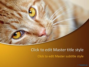 Free Red Cat PPT Template