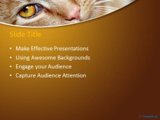 10039-01-red-cat-ppt-template-2