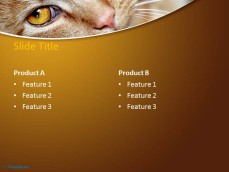 10039-01-red-cat-ppt-template-4