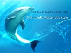 10050-01-dolphin-sea-world-ppt-template-1