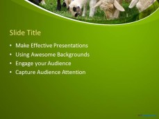 10060-01-sheeps-ppt-template-2