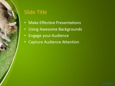 10060-01-sheeps-ppt-template-3