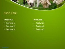 10060-01-sheeps-ppt-template-4