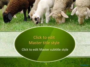 Free Sheep in a Field PPT Template