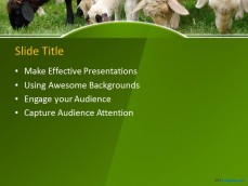 10060-02-sheeps-in-a-field-ppt-template-2