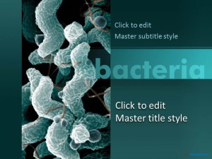 Free Bacteria PPT Template