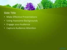10130-trees-ppt-template-2