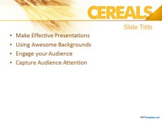 10152-cereals-ppt-template-0001-2