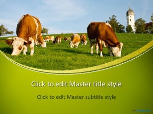 Free Cows PPT Template