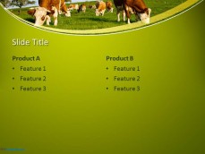 10175-cows-ppt-template-0001-4
