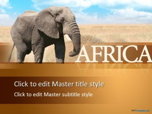 Free African Elephant PPT Template