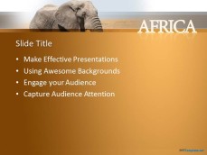 10195-elephant-africa-ppt-template-0001-2