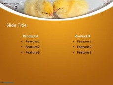 10211-chicks-ppt-template-0001-4