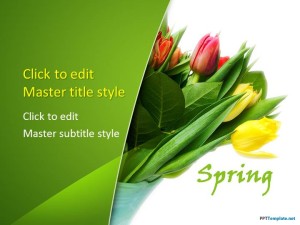 Free Flower Tulips PPT Template