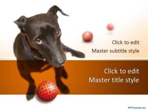 Free Dog PPT Template