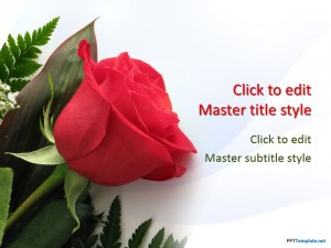 Free Rose PPT Template