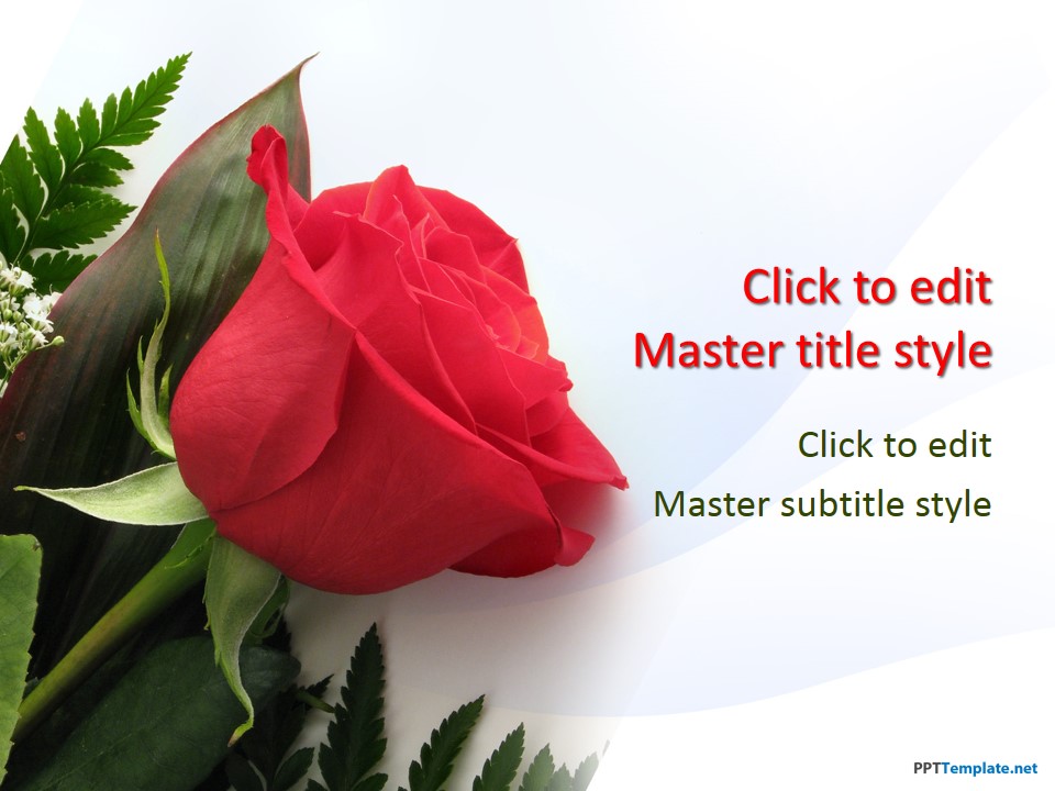 Free Rose Flowers PPT Template